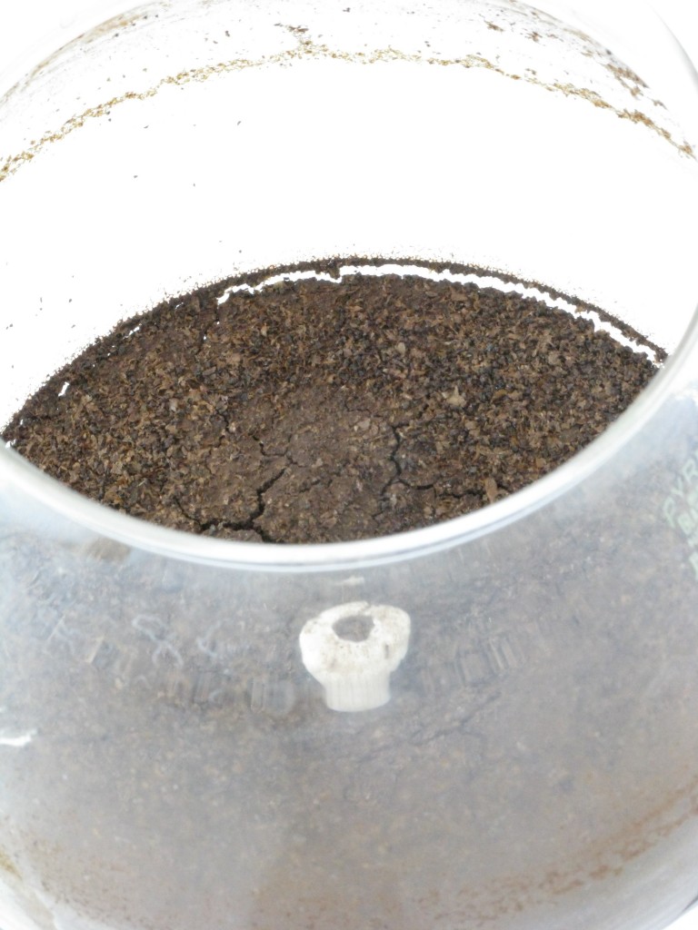 Corey Vacuum Brewer Coffee Companion